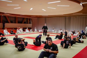 Stage Héritage C Boucabeille