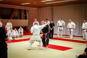 Stage Héritage C Boucabeille