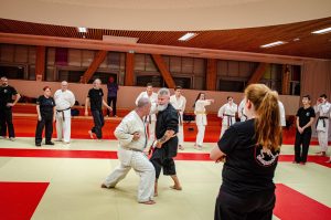 Stage Héritage C Boucabeille