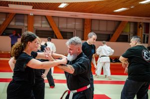 Stage Héritage C Boucabeille