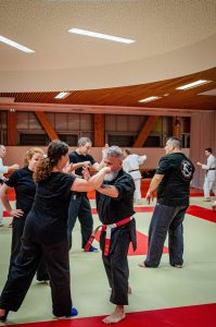 Stage Héritage C Boucabeille