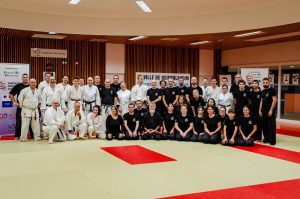 Stage Héritage C Boucabeille