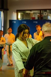 Stage Héritage C Boucabeille