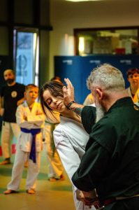 Stage Héritage C Boucabeille