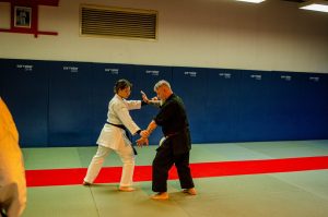 Stage Héritage C Boucabeille