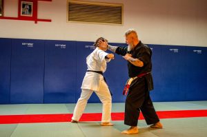 Stage Héritage C Boucabeille