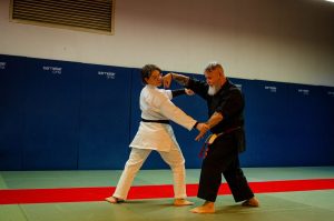 Stage Héritage C Boucabeille