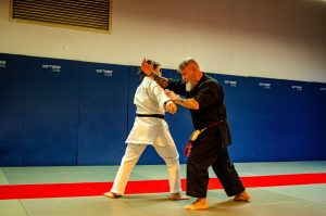 Stage Héritage C Boucabeille