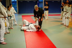 Stage Héritage C Boucabeille