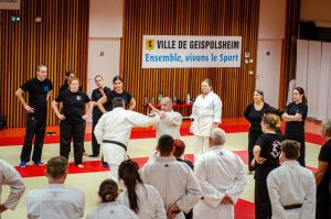 Stage Héritage Boucabeille C