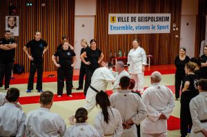 Stage Héritage Boucabeille C