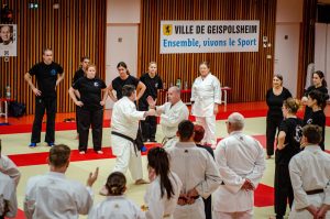 Stage Héritage Boucabeille C