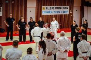 Stage Héritage Boucabeille C