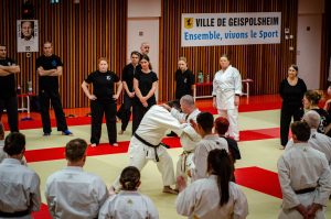 Stage Héritage Boucabeille C