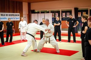 Stage Héritage Boucabeille C