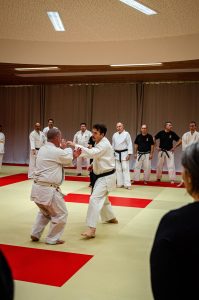 Stage Héritage Boucabeille C