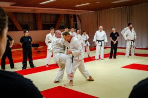 Stage Héritage Boucabeille C