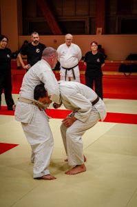 Stage Héritage Boucabeille C