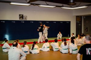 Stage Héritage Boucabeille C