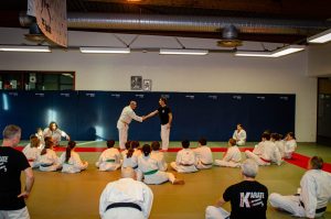 Stage Héritage Boucabeille C