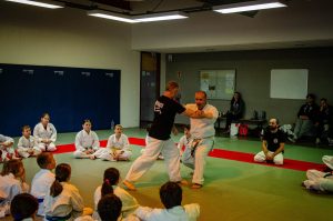 Stage Héritage Boucabeille C