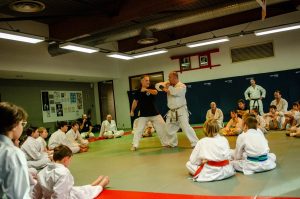 Stage Héritage Boucabeille C