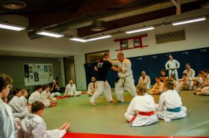 Stage Héritage Boucabeille C