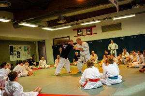 Stage Héritage Boucabeille C