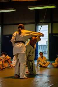 Stage Héritage Boucabeille C