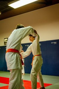 Stage Héritage Boucabeille C